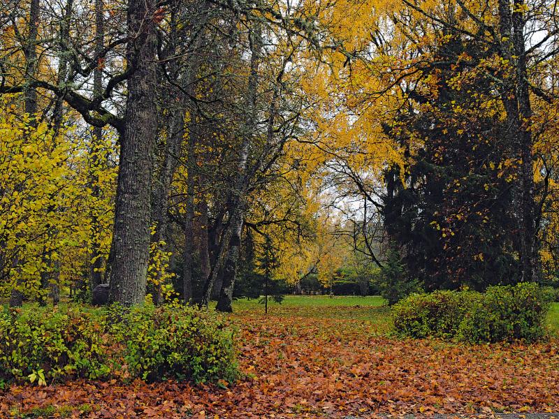 File:Järvamaa_Aruküla park.jpg